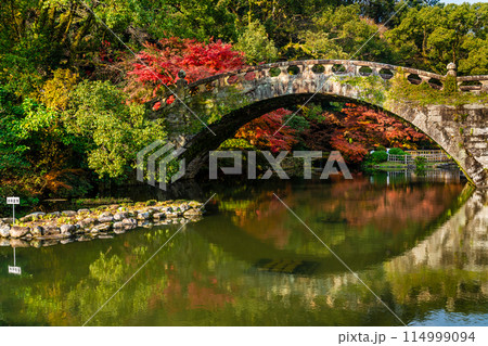 諫早公園（眼鏡橋）の紅葉　【長崎県諫早市】 114999094