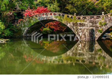 諫早公園（眼鏡橋）の紅葉　【長崎県諫早市】 114999101