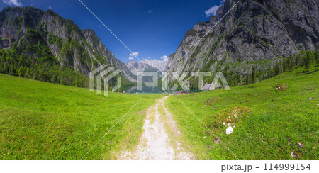 Mountain valley with tracks near Obersee lake in Berchtesgaden National Park 114999154
