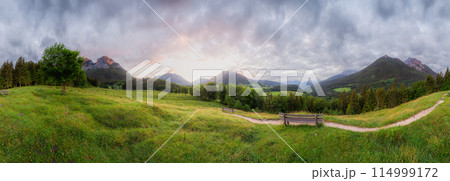 Meadow with road and bench in Berchtesgaden National Park Meadow with road and bench in Berchtesgaden National Park 114999172