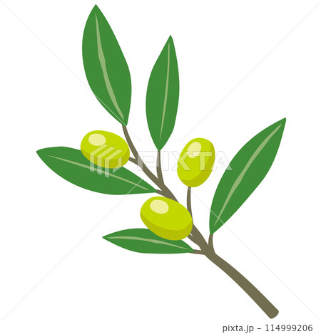 オリーブの実　小豆島　香川県　観光名所 114999206