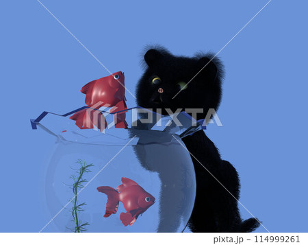 金魚鉢の金魚とそれを眺める子猫 114999261
