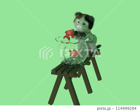 金魚鉢の金魚とそれを眺める子猫 114999284