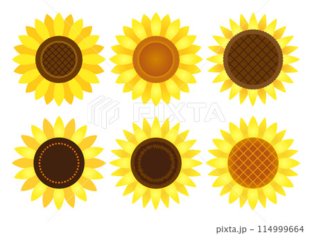 ひまわりの花ベクターイラスト バリエーション 114999664