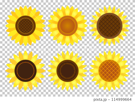 ひまわりの花ベクターイラスト バリエーション 114999664