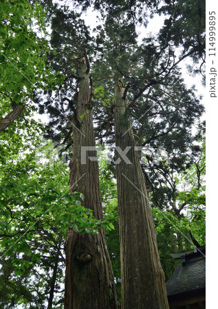 福島県会津若松市湊町のパワースポット　下馬渡熊野神社 114999895