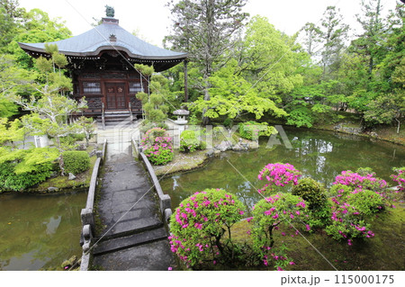 京都 清凉寺 弁天堂と日本庭園 京都 清凉寺 弁天堂と日本庭園 115000175
