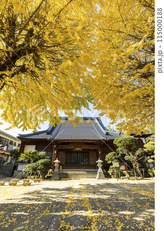 紅葉シーズンの教宗寺【長崎県長崎市】 紅葉シーズンの教宗寺【長崎県長崎市】 115000188