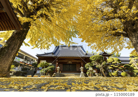 紅葉シーズンの教宗寺【長崎県長崎市】 115000189