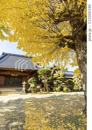 紅葉シーズンの教宗寺【長崎県長崎市】 115000190