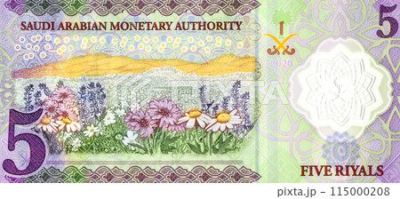 Fragment of the reverse side with field of flowers of the polymer 5 SAR five Saudi Arabia riyals banknote 115000208