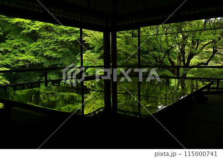 瑠璃光院の青紅葉 瑠璃光院の青紅葉 115000741