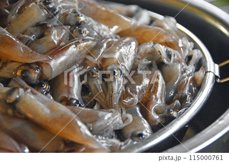 生のホタルイカ 生のホタルイカ 115000761