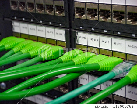 Ethernet cables connected to enumerated labled patch panel Ethernet cables connected to enumerated labled patch panel 115000762