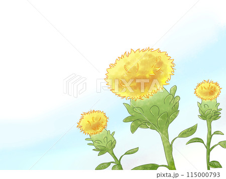 べに花と青空 べに花と青空 115000793