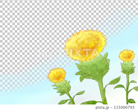 紅花和藍天 紅花和藍天 115000793