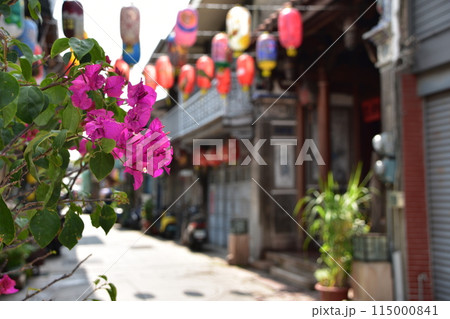 台湾の南部　台南の神農街とブーゲンビリア 115000841
