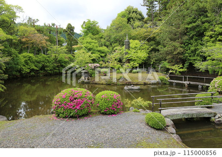 京都 清凉寺の日本庭園 京都 清凉寺の日本庭園 115000856