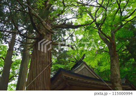 福島県会津若松市湊町のパワースポット 下馬渡熊野神社 福島県会津若松市湊町のパワースポット 下馬渡熊野神社 115000994