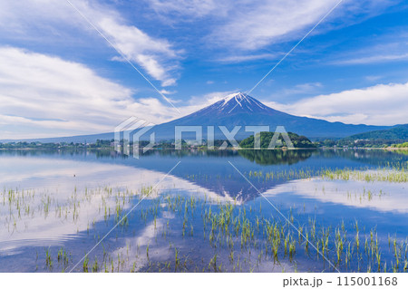 (山梨県)河口湖大石公園の湖畔から見る富士山 (山梨県)河口湖大石公園の湖畔から見る富士山 115001168
