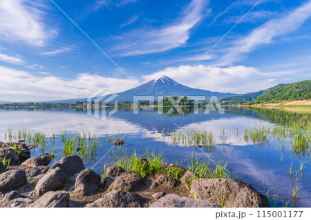 （山梨県）河口湖大石公園の湖畔から見る富士山 115001177