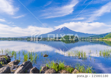 (山梨県)河口湖大石公園の湖畔から見る富士山 (山梨県)河口湖大石公園の湖畔から見る富士山 115001180