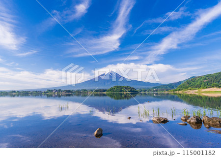 (山梨県)河口湖大石公園の湖畔から見る富士山 (山梨県)河口湖大石公園の湖畔から見る富士山 115001182