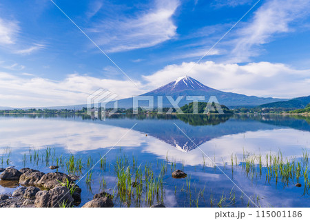 (山梨県)河口湖大石公園の湖畔から見る富士山 (山梨県)河口湖大石公園の湖畔から見る富士山 115001186
