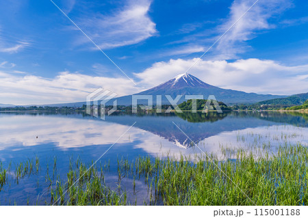 (山梨県)河口湖大石公園の湖畔から見る富士山 (山梨県)河口湖大石公園の湖畔から見る富士山 115001188