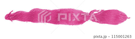Pink paintbrush isolated on white background. Watercolor 115001263