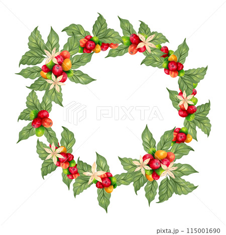 Coffee wreath with beans and flower, leaves. Watercolor illustration. Botanical frame of ripening berries. Coffee day. Hand drawn isolated art. Aroma of Robusta and Arabica varieties. Natural style Coffee wreath with beans and flower, leaves. Watercolor illustration. Botanical frame of ripening berries. Coffee day. Hand drawn isolated art. Aroma of Robusta and Arabica varieties. Natural style 115001690