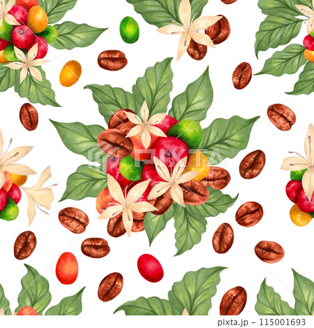Seamless pattern of Arabica and Robusta coffee berries with beans, leaves and flowers. Illustration with watercolors and markers. Hand drawn isolated wallpaper. Coffee day. Background for packaging 115001693