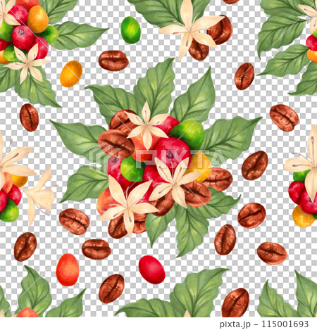 Seamless pattern of Arabica and Robusta coffee berries with beans, leaves and flowers. Illustration with watercolors and markers. Hand drawn isolated wallpaper. Coffee day. Background for packaging 115001693