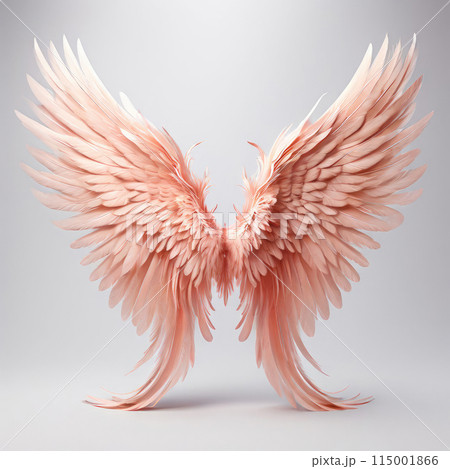 Soft pink angel's wings illustration. Design elements. 115001866