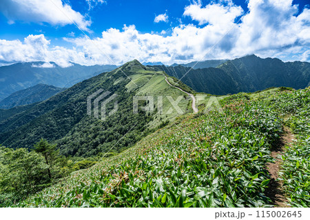 東黒森への登山道から見た夏のUFOライン1　高知県吾川郡いの町 115002645