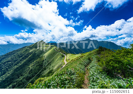東黒森への登山道から見た夏のUFOライン7　高知県吾川郡いの町 115002651