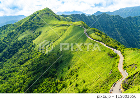 東黒森への登山道から見た夏のUFOライン9 高知県吾川郡いの町 東黒森への登山道から見た夏のUFOライン9 高知県吾川郡いの町 115002656
