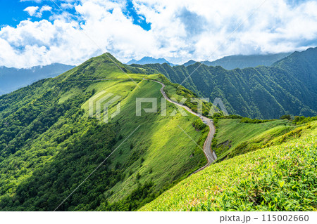 東黒森への登山道から見た夏のUFOライン13　高知県吾川郡いの町 115002660
