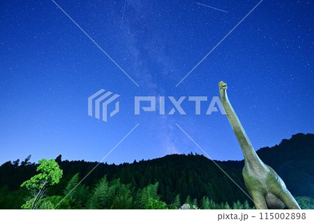 丹波竜と天の川 115002898