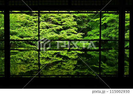 瑠璃光院の青紅葉 瑠璃光院の青紅葉 115002930