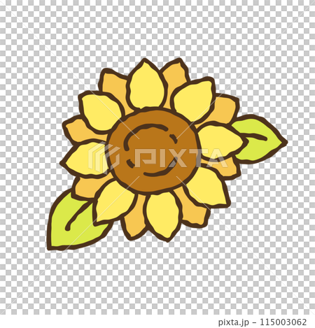 Sunflower flower illustration 115003062