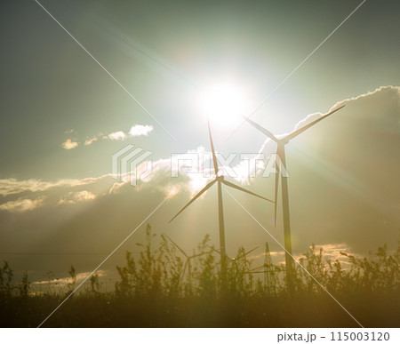 Wind plant in Europe, wind-powered generators Wind plant in Europe, wind-powered generators 115003120