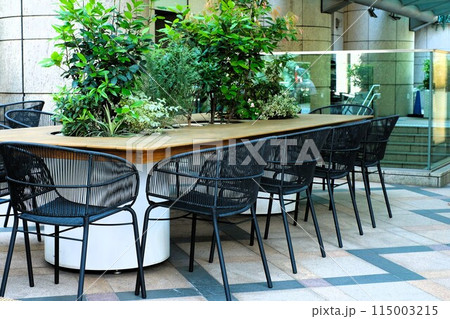 カフェのテラス席 カフェのテラス席 115003215