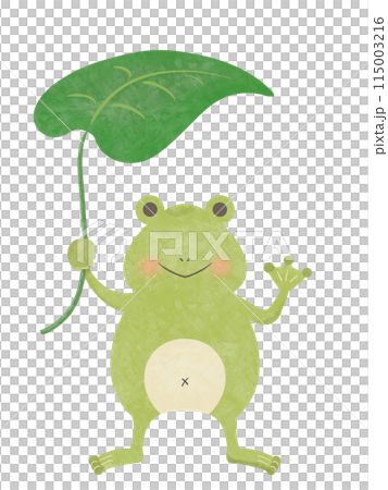 カエル カエル 115003216