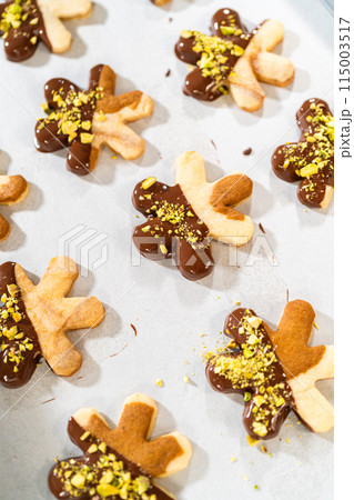 Crafting star-shaped holiday cookies dipped in chocolate and sprinkled with crushed pistachios, arranged on parchment paper. 115003517