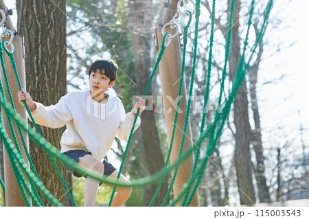 公園で遊ぶ男の子 115003543