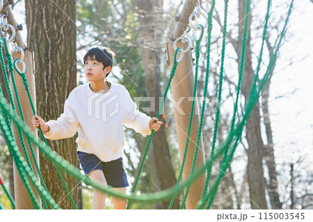 公園で遊ぶ男の子 115003545