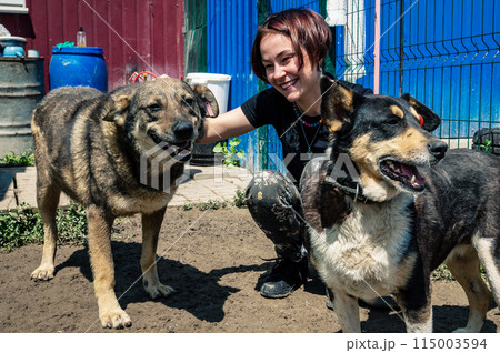 Dog at the shelter. Animal shelter volunteer takes care of dogs. 115003594