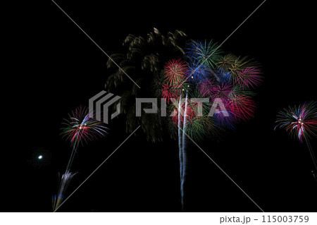 秋田県大曲の花火　2023夏 115003759