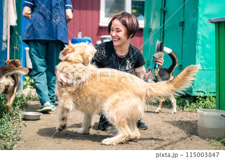 Dog at the shelter. Animal shelter volunteer takes care of dogs. 115003847